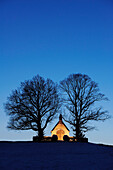 Beleuchtete Kapelle mit zwei Laubbäumen, Chiemsee, Chiemgau, Oberbayern, Bayern, Deutschland, Europa