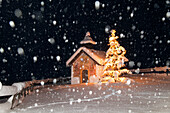 Chapel with christmas tree at snowfall, Elmau, Upper Bavaria, Germany, Europe