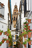 Alley in old town, Mosque–Cathedral in background, Cordoba, Andalusia, Spain