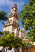 Glockenturm der Mezquita Catedral von Córdoba, Cordoba, Spanien