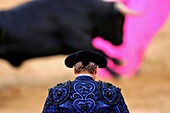 Assistant bullfighter Pablo SaugarPirri,  looks a bull charging during theSan Isidro,  bullfighting fair atLas Ventas,  bullring in Madrid