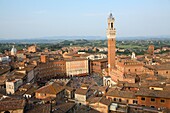 Torre del mangia and cityscape, Siena, Italy