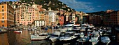Panoramic view of the little port of Camogli, italian riviera, Liguria, Italy