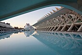 City of Arts and Sciences, Valencia, Spain