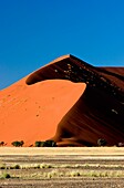 Sand Dune, Namibia