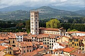 The tower of the Basilica di San Frediano rises above the mediaeval city of Lucca, Tuscany, Italy