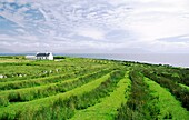 Cottage croft farm showing ridge and furrow cultivation field patterns on Clare Island off the coast of County Mayo, Ireland