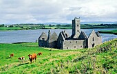 The ruins of Rosserk 15C Franciscan Friary on the Moy estuary near the town of Killala, County Mayo, west Ireland