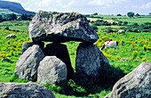 Grave 7, part of Carrowmore prehistoric megalithic cemetery, with slope of Knocknarea behind County Sligo, Ireland