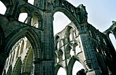 Ruins of Rievaulx Abbey in the North York Moors National Park, North Yorkshire, England Founded by Cistercians in 1132