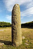 Kilnasaggart Pillar Stone in the early Celtic Christian monastic site near Jonesboro, County Armagh, Northern Ireland, UK