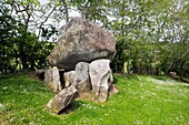 Goward Dolmen, also called Cloghmore Cromlech Hilltown, County Down, Northern Ireland Prehistoric megalithic burial chamber