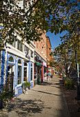 Typical street scene, Springfield, Illinois, USA