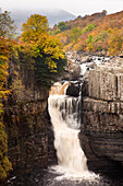 High Force Waterfall at Autumn near Middleton in Teesdale, Teesdale, County Durham, North Yorkshire, UK - England