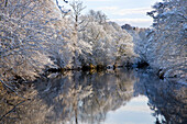 Trees and reflections in River Nidd in winter, Knaresborough, Yorkshire, UK - England