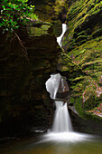 St nectan's glen waterfall, Trethevey, Cornwall, UK - England
