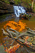 Lower falls at Scalebor Force, Lower falls at Scalebor Force, n, North Yorkshire, UK - England