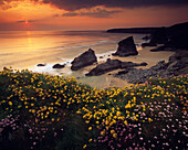 Sunset view over Bedruthan Steps in spring, Bedruthan Steps, Cornwall, UK - England