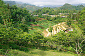 Rural scenery, Bac Ha - near, Vietnam