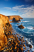 Rugged coastal scenery, Lands End, Cornwall, UK - England