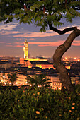 View to Palazzo Vecchio from Piazzale Michelangelo, Florence, Tuscany, Italy
