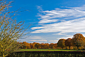 View across field in autumn, Crookham Village, Hampshire, UK - England