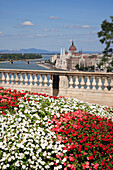 City skyline and flowers, Budapest, Hungary