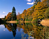 Loch Ard in autumn, Aberfoyle - near, Central, UK - Scotland