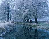 River Wey in winter, Guildford - near, Surrey, UK - England