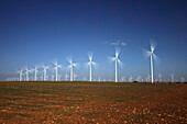 Windpark Atalaya de Canavate, Honrubia, La Mancha, Castilla, Spanien