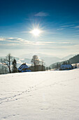 Winter scenery, St Peter, Black Forest, Baden-Wurttemberg, Germany