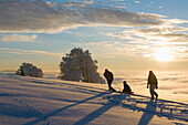 Family with sledge on mount Schauinsland, Freiburg im Breisgau, Black Forest, Baden-Wurttemberg, Germany