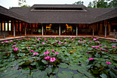 Water lily pond at the Datai Resort, Lankawi Island, Malaysia, Asia