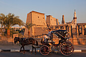 Kutsche vor dem Tempel von Luxor, Luxor, früher Theben, Ägypten, Afrika