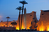 Entrance area of Luxor Temple in the evening light, Luxor (ancient Thebes), Luxor, Egypt, Africa