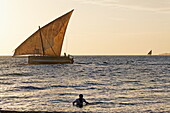 Dhows sail along Stonetowns city beach, Zanzibar City, Zanzibar, Tanzania, Africa