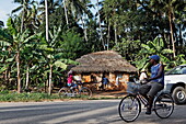 House on the street to Zanzibar City, Zanzibar, Tanzania, Africa