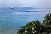 Dhow sailing near the shore, Stonetown, Zanzibar City, Zanzibar, Tanzania, Africa