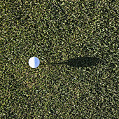 White Golf Ball on Green, Cle Elum, Washington, USA