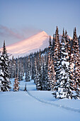 Snowy Landscape, Monashee Range, near Cherryville, BC, Canada