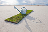 Water Pail on Strip of Grass, Bonneville Salt Flats, Utah, USA