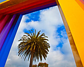 Framed Palm Tree, Santa Barbara, CA, USA