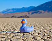Rubber Duck in Desert, CA, USA