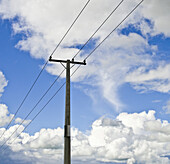 Power Lines, Taupo, North Island, New Zealand