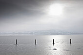 Sunlight Illuminating an Icy Landscape, Salt Lake City, Utah, USA