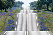 Scenic Country Road, Texas, USA