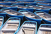 Row Boats For Hire, Kyoto, Japan