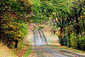 Road Through Forest, Blue Ridge Parkway, Virginia, USA