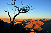 Sonnenuntergang am South Rim, Grand Canyon, Arizona, Südwest USA, Amerika