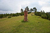 Kalvarienberg with juniper, Way of the Cross, Alendorf, Eifel, North Rhine-Westfalia, Germany, Europe